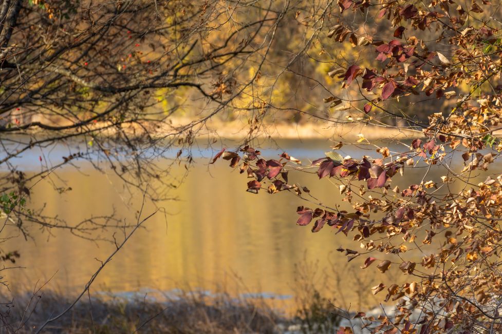 A Guide to Fall Photography Locations in New Hampshire's Lakes Region