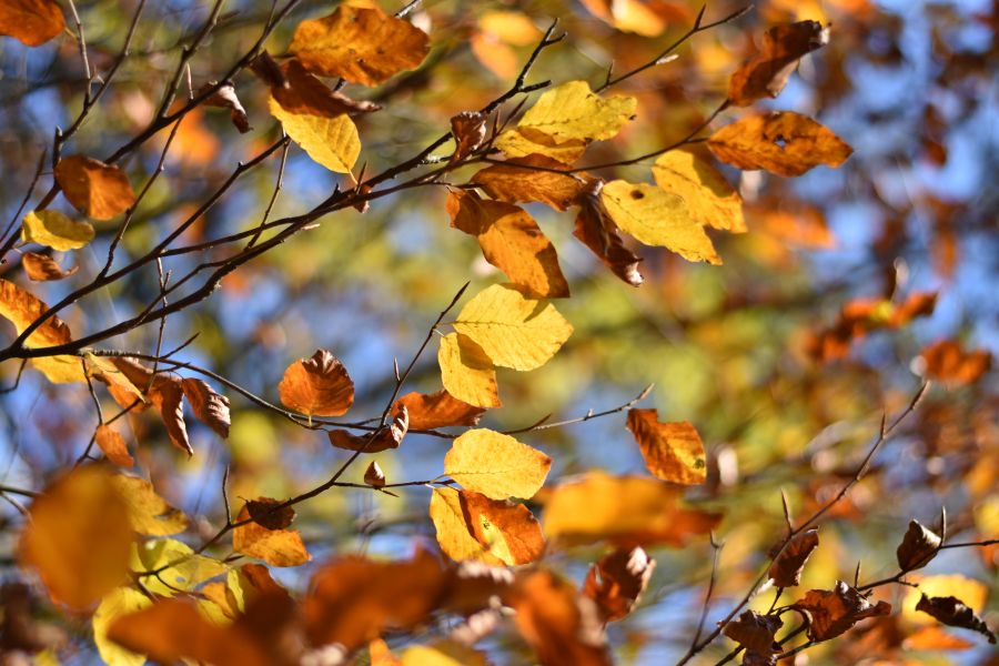 Why September Might Be the Best Month to Visit New Hampshire's Lakes Region