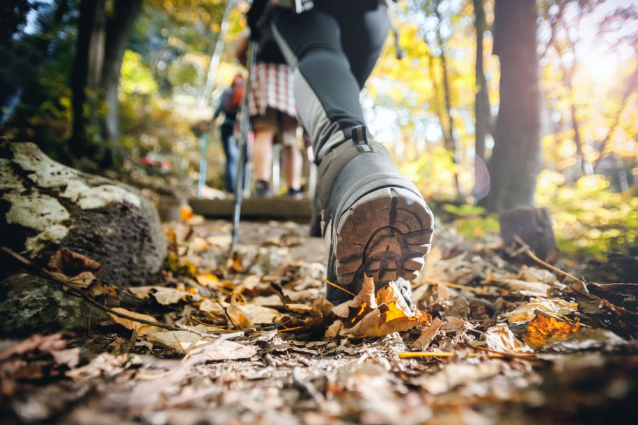 Beginner-Friendly Hiking Trails with Lake Views in New Hampshire's Lakes Region