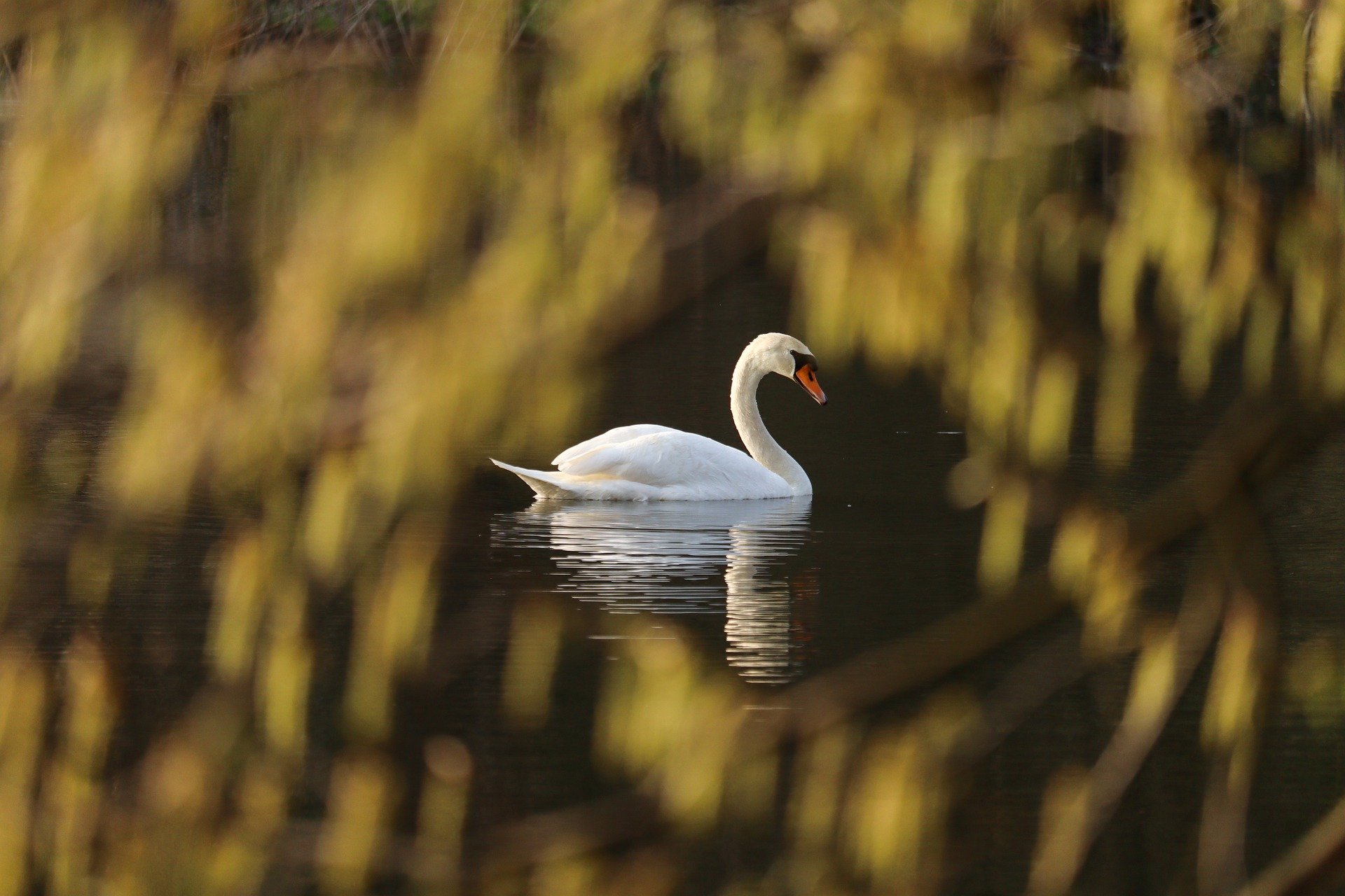 Spring Awakening in New Hampshire’s Lakes Region: Best Outdoor Experiences in May