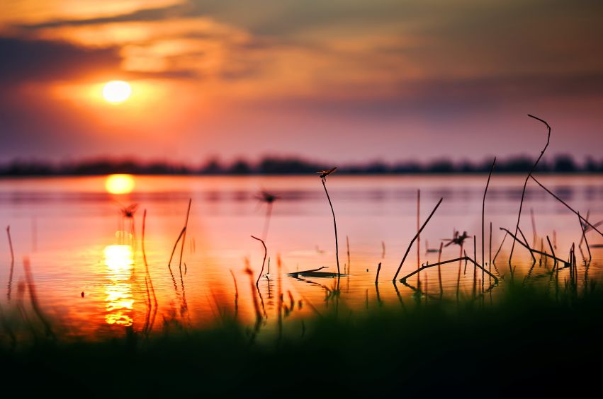 Best Places to Watch a Lake Winnipesaukee Sunset
